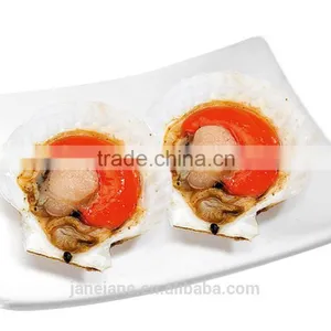 Frozen Scallop thumbnail-2