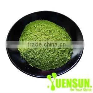 Green Tea Extract Tea Polyphenol 98% thumbnail-1