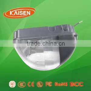 2015 40w Jiangsu Professional Lighting Lvd Induction Lamp Wall Light thumbnail-1