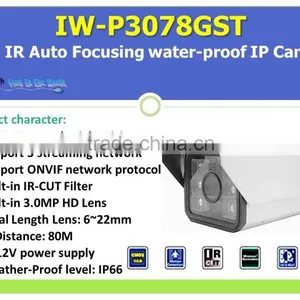 IW-P3038GS 2.0M Vari Focus IR Network Dome Camera thumbnail-6