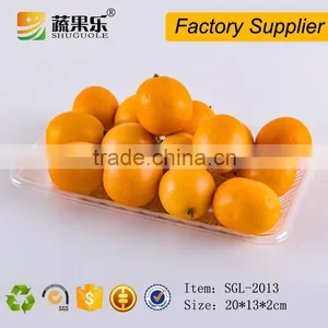 Disposable PET Vacuum Thermoforming Food Fruit Tray thumbnail-1