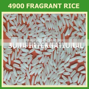FRAGRANT WHITE RICE 4900, 5451, NANG HOA, KDM thumbnail-1