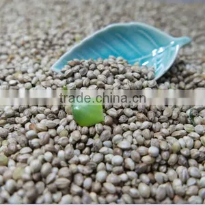 Hemp Seeds With High Quality 2016 Crop thumbnail-4