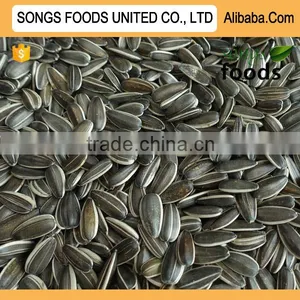 New Crop Top Sunflower Seeds thumbnail-1