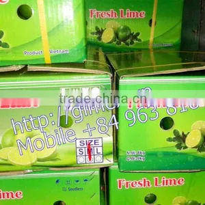 Fresh Lemon High Quality Seedless Gimex thumbnail-3