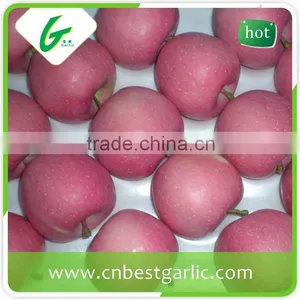 Fresh Fruit Red Fuji Apple From China thumbnail-1