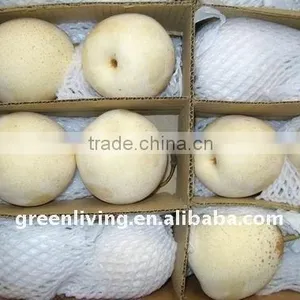 Fresh ya Pear in Sale thumbnail-1