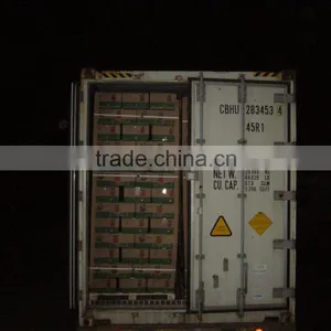 Fresh Apple Fruit Wholesale Distributors thumbnail-5