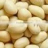 High Quality Blanched Peanuts thumbnail-1