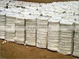 Indan Cotton Exporter thumbnail-1