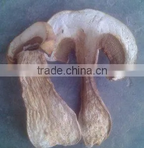 Grade A Dry Boletus Edulis Slice Dry Wild Mushroom thumbnail-2