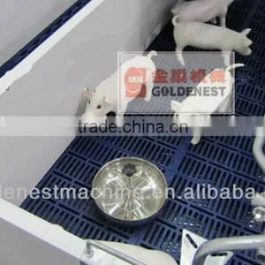 *Plastic Pig Slatted Flooring For Farrowing Crate thumbnail-1