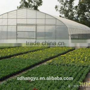 Large Size Commercial Greenhouse Hydroponics thumbnail-1