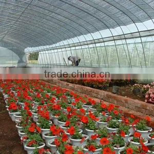 Multispan PE Film Greenhouse for Tomato Cucumber Flower Horticulture thumbnail-1