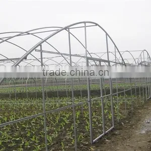 Mini Greenhouse Indoor Decorative thumbnail-4