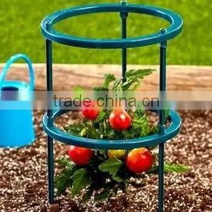Plastic Tomato Support thumbnail-1