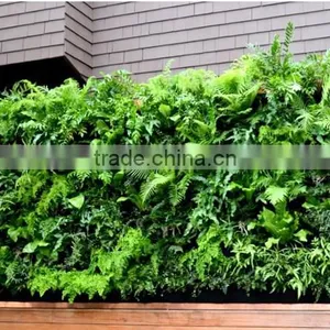 Garden Decorative Plastic Planter Pots Wall Planters SL-YT5030 thumbnail-2