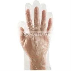 Catering Glove thumbnail-1