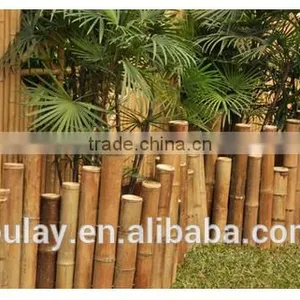 Low Bamboo Border & Edging Fence thumbnail-4