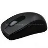 Mouse thumbnail-1