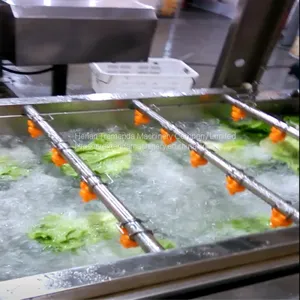 Vegetable Bubble Washing Machine Fruit Washing Machine thumbnail-2