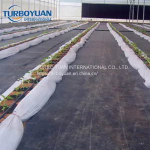 Black Plastic PP Ground Cover Mesh Mat for Greenhouse thumbnail-4