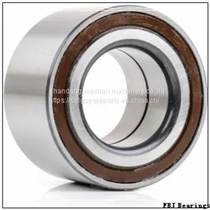 FBJ Bearings thumbnail-1