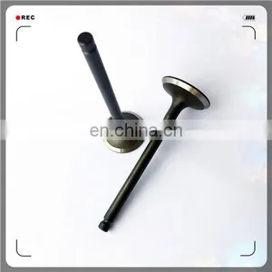 Oem 4A13-1007011 4A13-1007017 Engine Valve for 4A15 thumbnail-3