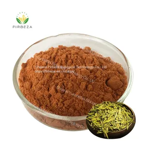 Green Tea Polyphenols Powder Bulk Natural Organic Green Tea Extract Powder Tea Polyphenol thumbnail-1