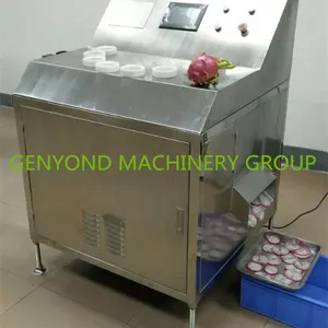 1t Per Hour Pineapple Chips Making Machine thumbnail-2
