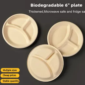 Sugarcane Bagasse Compartment Plate Wholesale, OEM Custom Service, Molded Fiber Divided Plate With After-Sales Support thumbnail-1