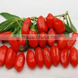 GOJI A280 GRAINS/50G thumbnail-1