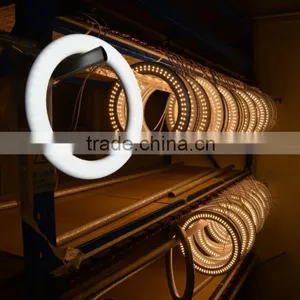 G10q Natural White 4000k 18w 300mm T9 Circular LED Tube Lightings thumbnail-4