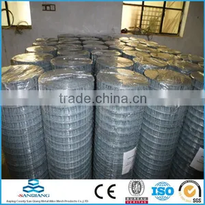 Factory Direct Sell Welded Wire Mesh (Anping Manufacture) thumbnail-3