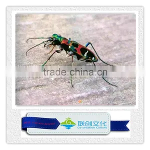 Robotic Insect, Lifelike Insect, Mechanical Insect thumbnail-5