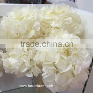 Wholesale Preserved Flower White Hydrangea With High Quality thumbnail-5