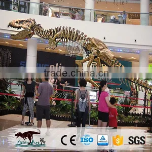 Life-Size Dinosaur Skeleton thumbnail-2