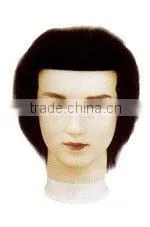 Good Price Accept Small Oprder of Training Head thumbnail-1