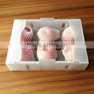 Corrugated Plastic Fruit Harvesting Box thumbnail-1