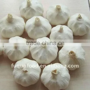 High Quality Chinese Garlic 2012 Crop thumbnail-1