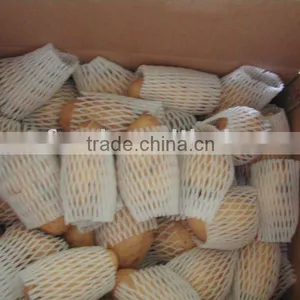 Potato thumbnail-1