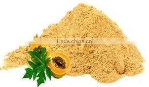 PAPAYA FRUIT POWDER FOR AYURVEDIC REMEDY thumbnail-1