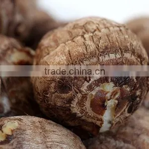 Rice Reaper Taro thumbnail-6