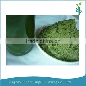 2015 Certified Organic Wheat Juice Green Powder (Triticum Vulgare L.) thumbnail-1