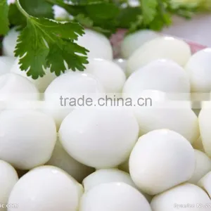FT-206 Large Capacity Quail Egg Shelling Breaking Peeling Machine thumbnail-6