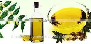 Natural Neem Oil for Organic Pesticide thumbnail-4
