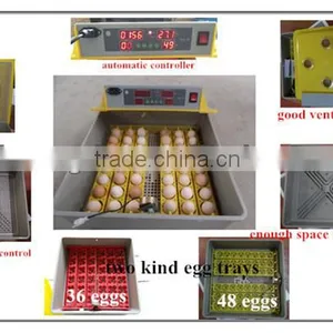 Tongda Small Egg Incubatro for 48 Eggs and 96 Eggs Mini Size thumbnail-1