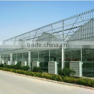 Poultry Farming Equipment 3 Phase Air Cooling Exhaust Fan thumbnail-6