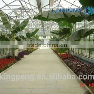Large Size Multi Span Glass Greenhouse thumbnail-4