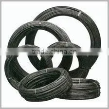 Black Annealed Wire----------------------------7dc3a9a5a0736Content-Disposition: Form-data; Name="_fmp.pr._0.k"iron Wire thumbnail-1